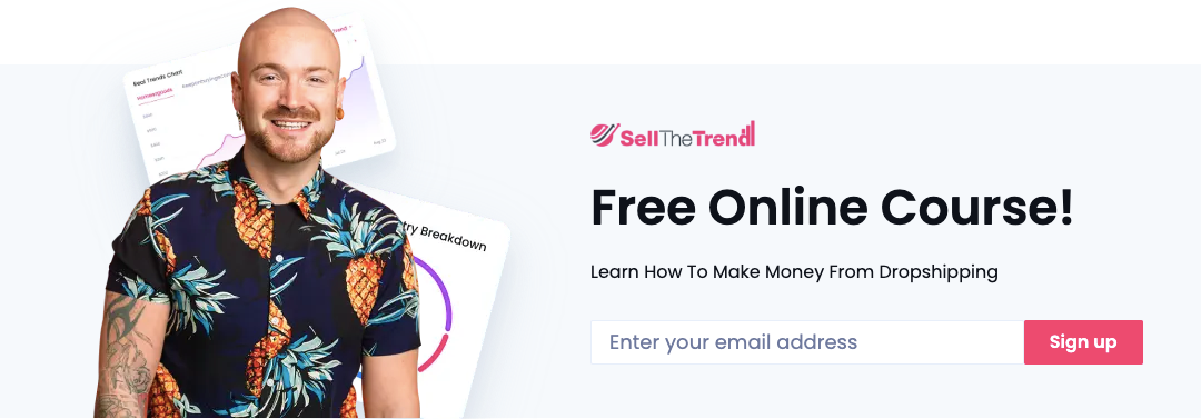 Learn how to build your store with Sell The Trend and come up with niche ideas of your own